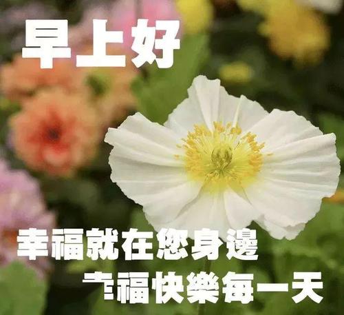 正月十九日愿你幸福久久健康久久 早安心语最美的问候