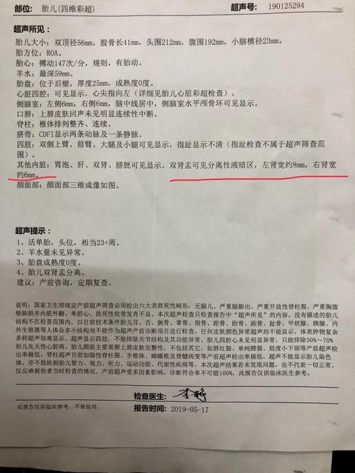 今天去照了四维,医生说双肾盂分离,正常数