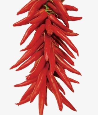 一串辣椒剪纸 手工剪纸图片大全简单-蒲城教育文学网