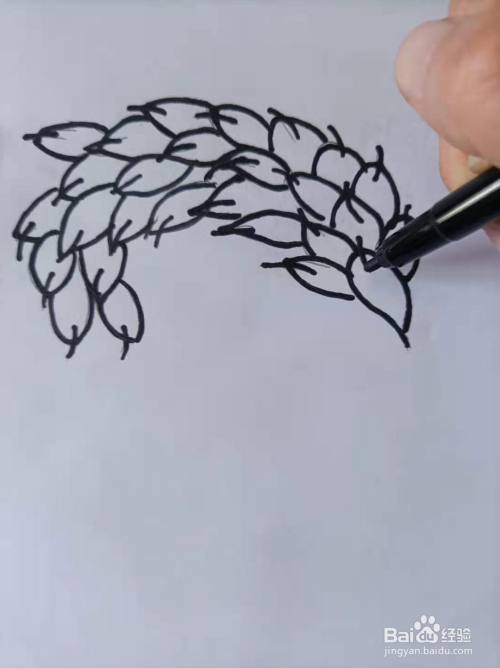 麦子怎么画简单又好看