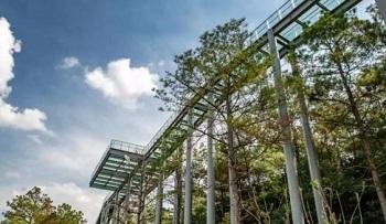 常州露营谷树顶玻璃栈道好玩吗?太湖湾露营谷玻璃栈道