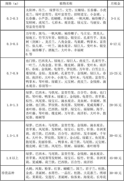 花卉租摆价格一览表