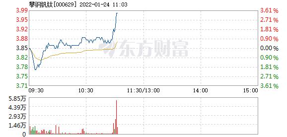 攀钢钒钛1月24日快速上涨