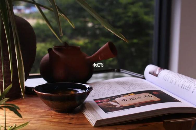 下雨,读书,喝茶_喝茶_读书_建阳区自由行热门攻略_摄影_旅行_旅行摄影