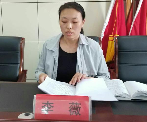 组织委员李薇宣读《新城镇农村党组织和第十一届村委会换届选举暨试点