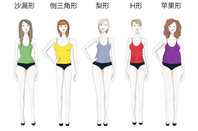 怎么知道自己属于什么体型呢?
