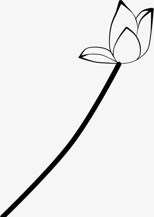 手绘黑色漫画荷花花苞