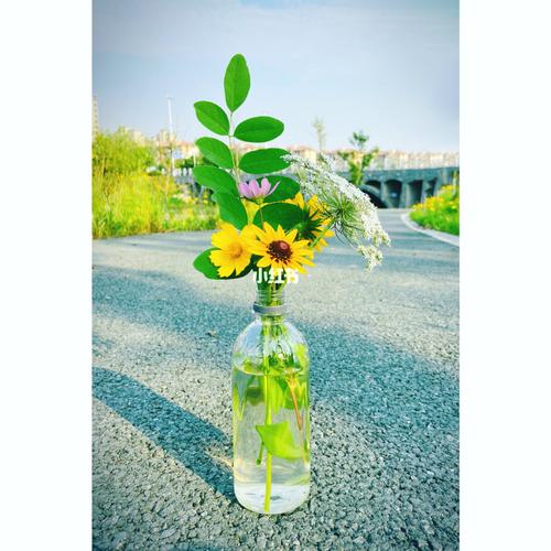 sunshine._家装_家居_家居装饰_家居家装_家居装饰