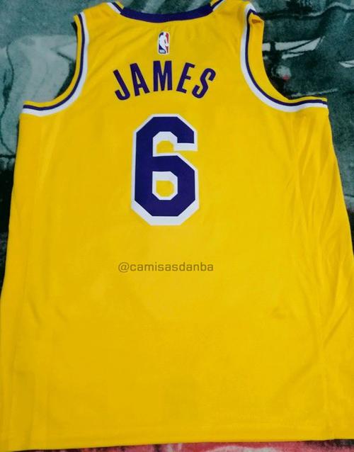 职业生涯里,詹姆斯在热火队和美国队都身穿6号球衣.(罗森)