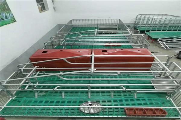 樟树母猪定位栏复合漏粪板生产厂家【鸿诺机械】