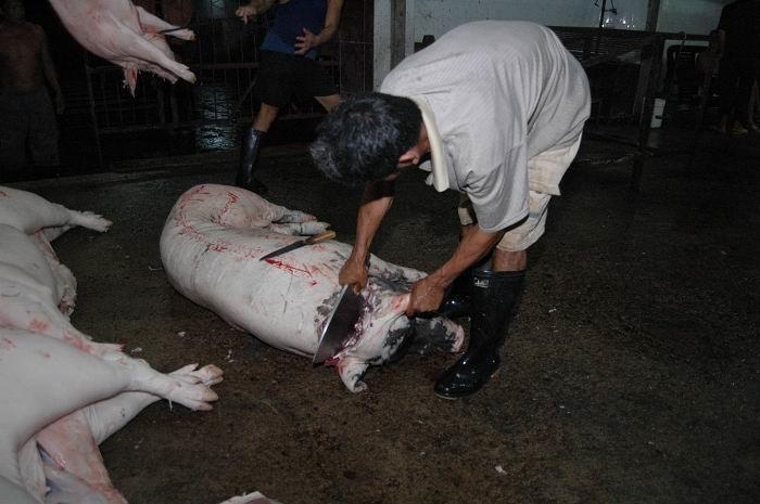 一组无为人知道的人类屠宰(极其暴力血腥,胆小者慎入)