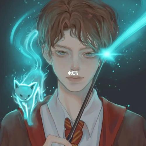 哈利波特头像_哈利波特_头像_素材_头像