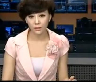 这个陕西台的女主持人 叫什么