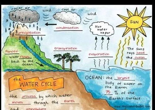 关于水的形态,这样和孩子一起画出来