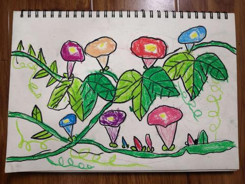 创意小班《牵牛花》