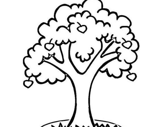 画果树的简笔画