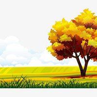 金色好看的大树头像【点击鼠标右键下载】