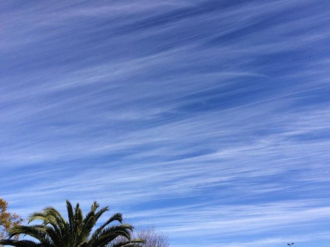 cirrus fibratus 毛卷云(图片来自cloud appreciation society)