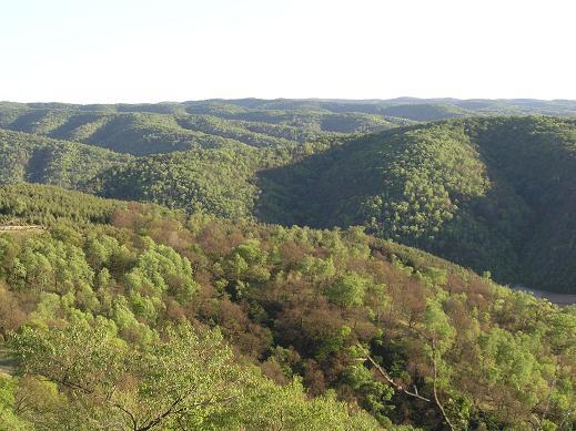 陕西子午岭国家森林公园