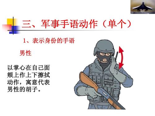 解读军事常见手语