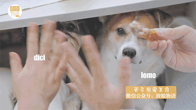 鸡翅这样做简直是人间美味!隔壁小孩都馋哭了