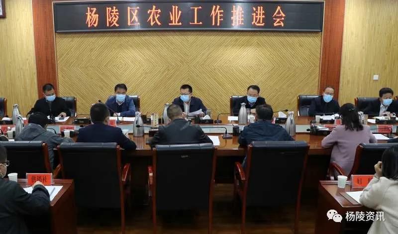4月2日晚,杨陵区召开2020年农业工作推进会,区委副书记,区长陈辉