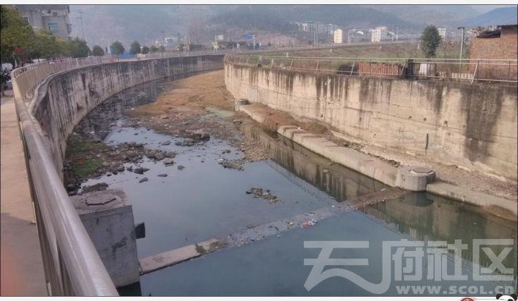 03水质太差广元大石镇人民吃的水放心吗
