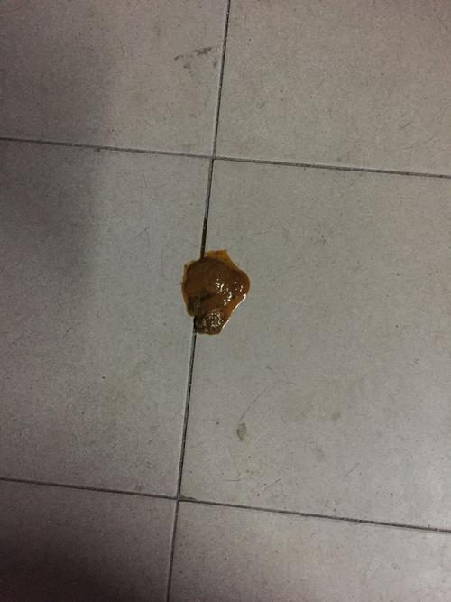 各位可以帮帮忙看看,我的狗狗今晚拉这种大便是得了细小吗,就是今晚才