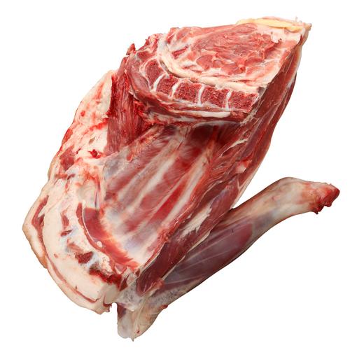 羊肉前腿5斤宁夏盐池滩羊羊羔羊腿清炖红烧生羊腿