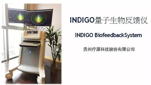 indigo生物反馈仪体检100元优惠套餐火爆来袭!