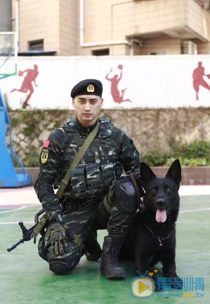 利刃出击分集剧情介绍