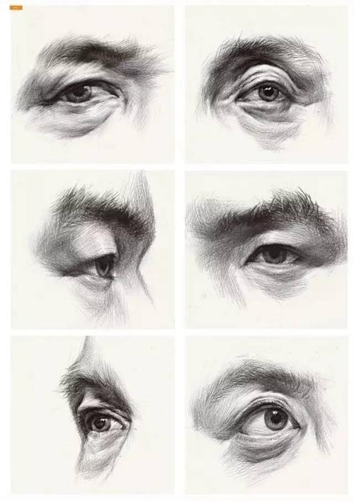 头像里,眼睛的重要性是不言而喻的.作画时,应把握好它的角度