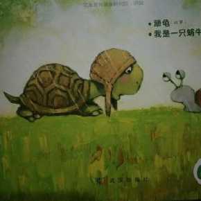 犟龟手抄报图画大全