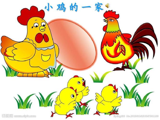 小鸡的一家ppt