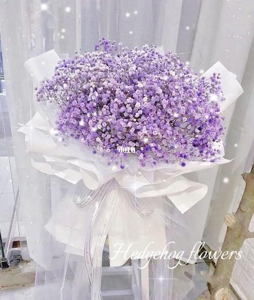 北京花店|紫色满天星花束七夕表白生日惊喜_花店_花束