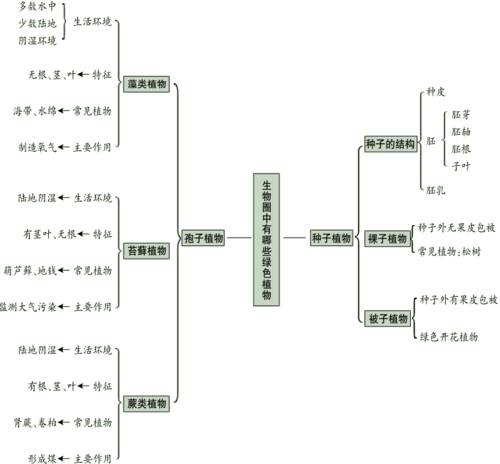 1,第一章生物圈中有哪些绿色植物知识导图