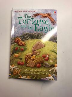 15 feb stefan14 the tortoise and the eagle day 1