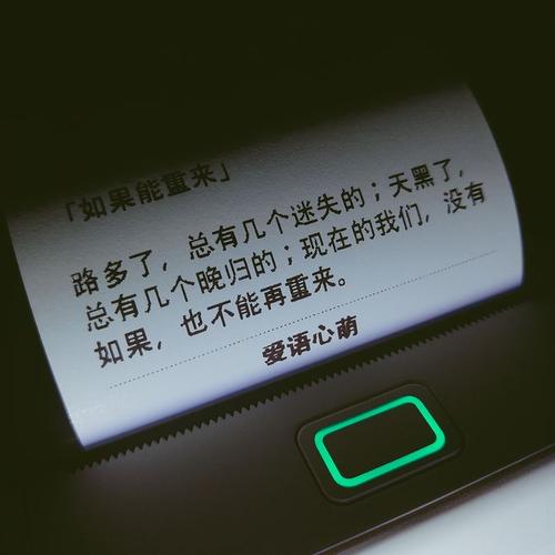 如果能重来路多了总有几个迷失的天黑了总有几个晚归的现在的我们没有