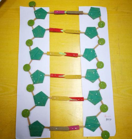 dna结构模型制作活动尽显生物学科魅力