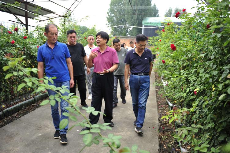 胡永新总经理带领嘉宾参观造型月季