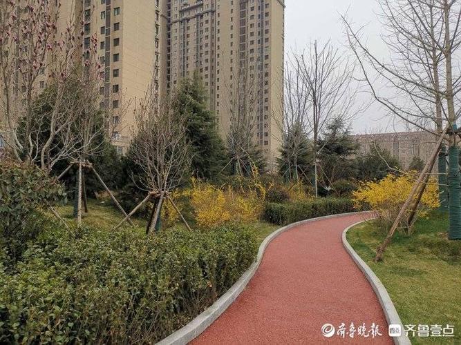 洋涓湖公园预计10月底竣工,今年天桥区将新建5处公园游园