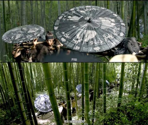 比《卧虎藏龙》的竹海更美!《影》的拍摄地就在黄石附近