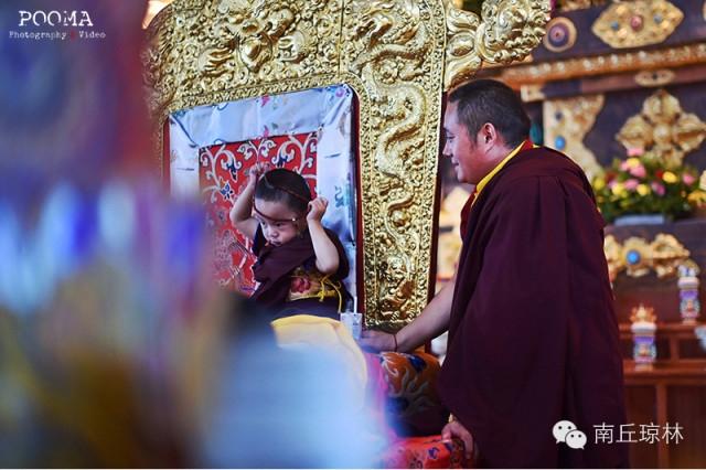 【转载】第四世贝诺法王白玉寺坐床