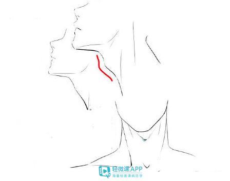 怎么画动漫人物的脖子?人物脖子绘画教程
