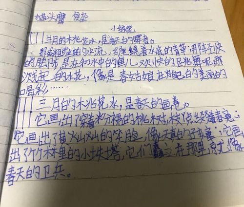 燕山二小1602班《三月桃花水》仿写优秀作品