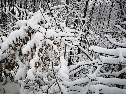 写美篇 雪晴晚望 唐代:贾岛 倚杖望晴雪,溪云几万重.