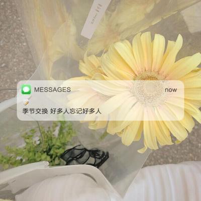 imessage短信文字背景图,个性又治愈