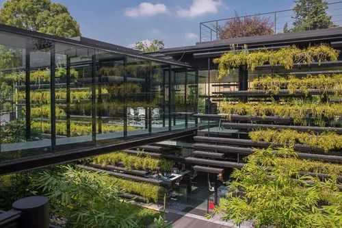 falcón ii 扩展概念化为花园的一个延伸,以补充主要建筑并保持其绿色