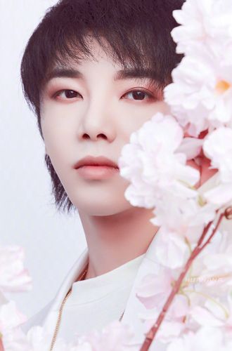 华晨宇 