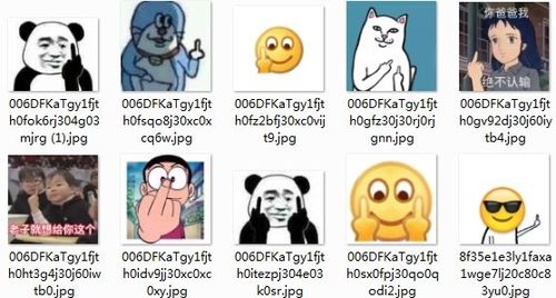 竖中指表情包_竖中指表情包图片
